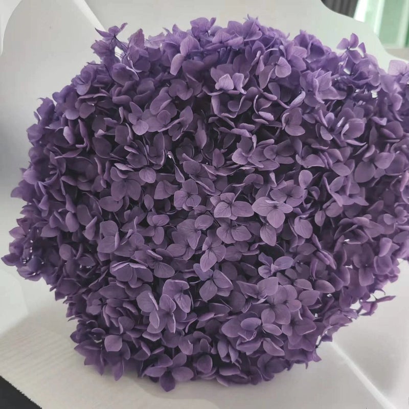 Bluejw Real Touch Dried Flowers Bouquet with Preserved Hydrangea – Natural Dried Plants for Wedding & Home Decoration - Image 1