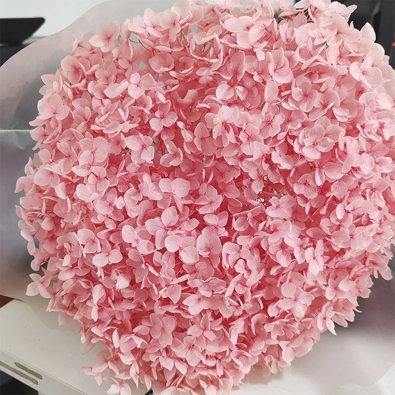 Bluejw Real Touch Dried Flowers Bouquet with Preserved Hydrangea – Natural Dried Plants for Wedding & Home Decoration - Image 5
