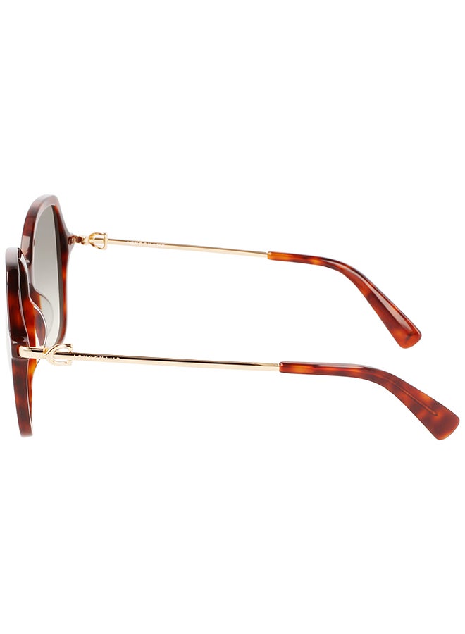 Longchamp نظارة شمسية مستطيلة للحماية من الأشعة فوق البنفسجية للنساء - LO705S-230-5717 - مقاس العدسة: 57 ملم - Image 2