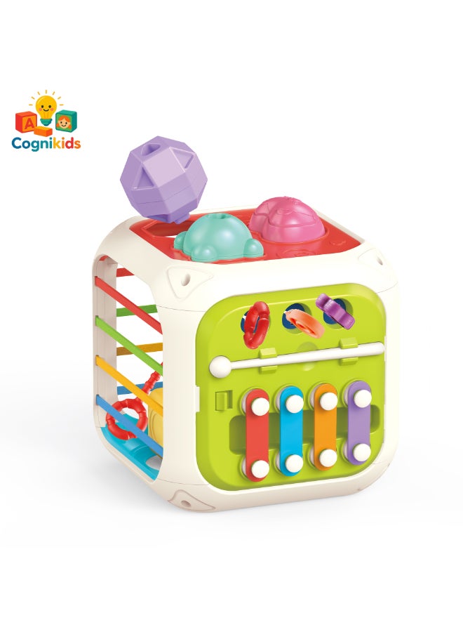 COGNIKIDS صندوق فرز الأشكال 7 في 1 للأطفال - لعبة مونتيسوري مع أشكال هندسية، إكسيلفون، حبل سحب، تروس وأشرطة مطاطية | لعبة حسية للأطفال من 12 شهرًا فما فوق | خالية من BPA - Image 2