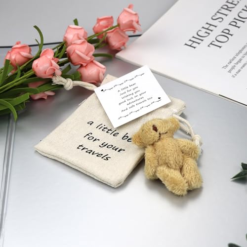 LUOKIFUR Pocket Bear Gifts for Travelers, Overseas Travel, Adventure, Good Luck Gifts,Thoughtful Souvenirs (Travels) - Image 4