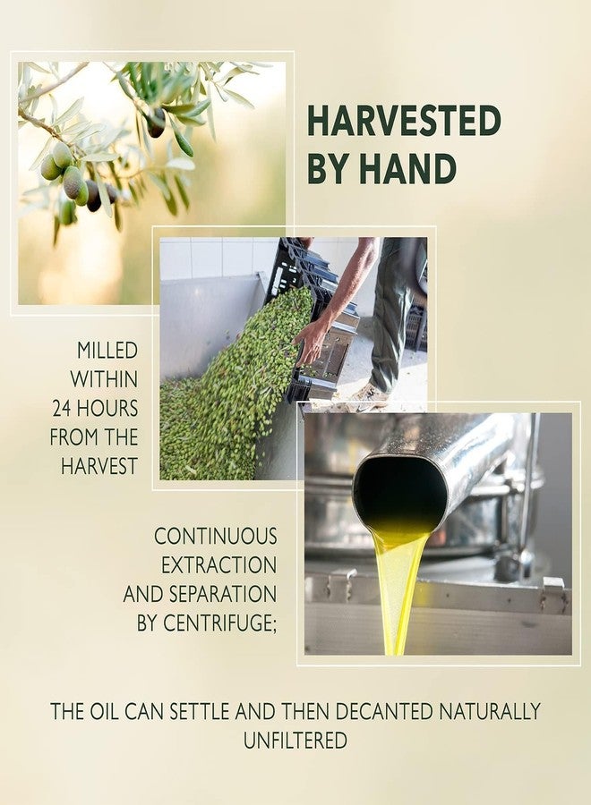 Barbera Organic Extra Virgin Olive Oil, 33.8 Fl Oz (1L) – Certified Organic, Cold Extracted, Hand-Harvested Mediterranean Olive Oil, Delicate Fruity Flavor - Image 5