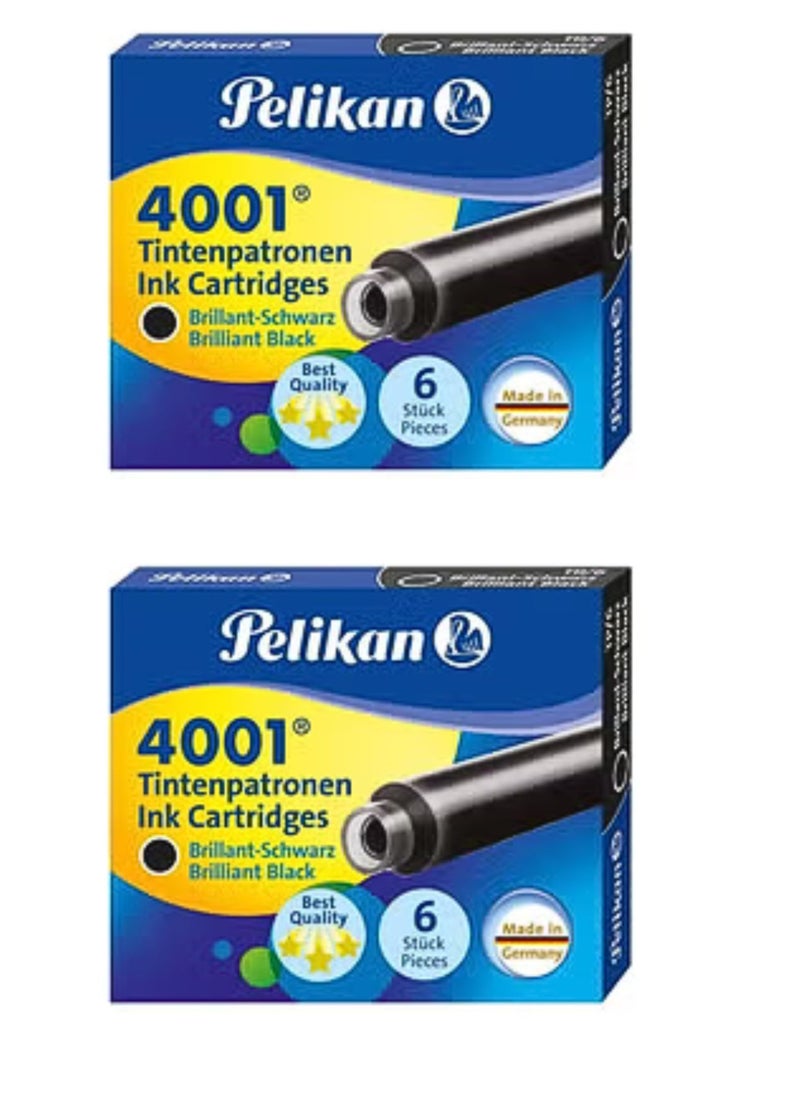 Pack Of 6 Tintenpatronen Ink Cartridges Brilliant Black - pzsku/ZBABC559942C4D1A65758Z/45/_/1711873696/e6a454fc-2692-4d75-a050-92a55a1ea45e