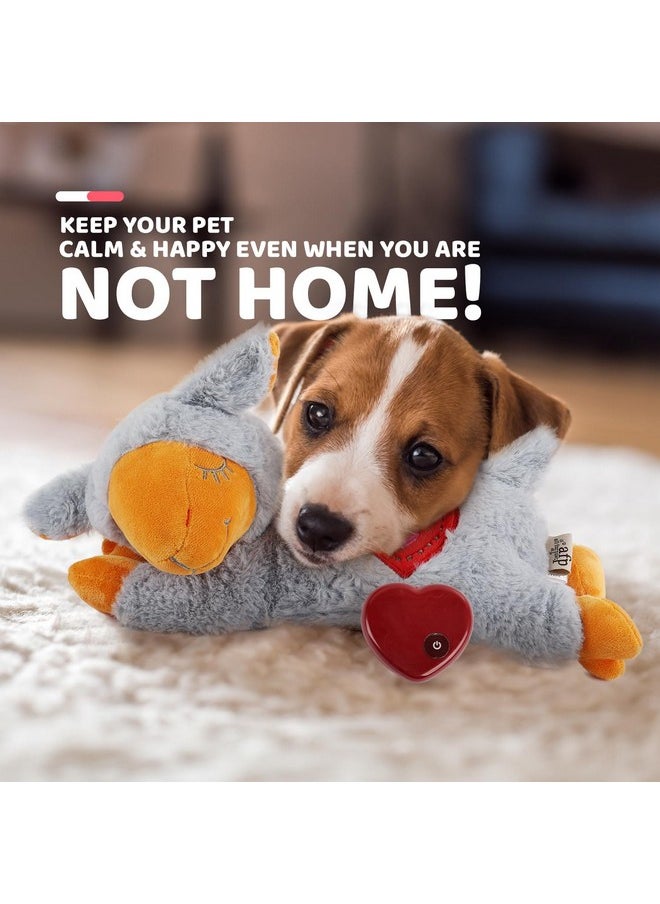 all for paws - ALL FOR PAWS Heart Beat Dog Toy, Puppy Sleeping Buddy Cuddle Toy Dog Soothing Plush Toy, Crate Training Puppy Stuffed Animal Gift Toys for Your Furry Friend - Image 1