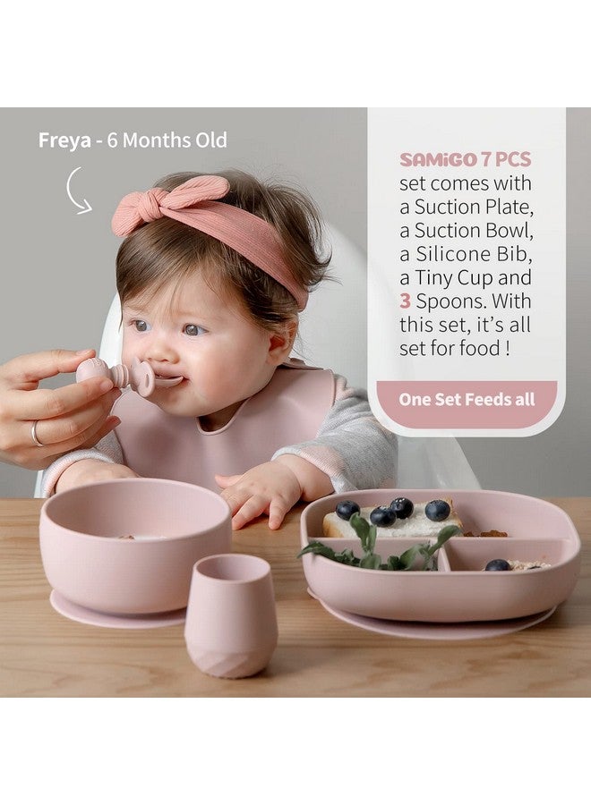 SAMiGO Silicone Baby Feeding Set, Baby Led Weaning Supplies, Suction Bowl Plate Bib Cup Self Feeding Spoons, Solid Food Eating Essentials, First Stage Utensils, 6+ Months - Image 2