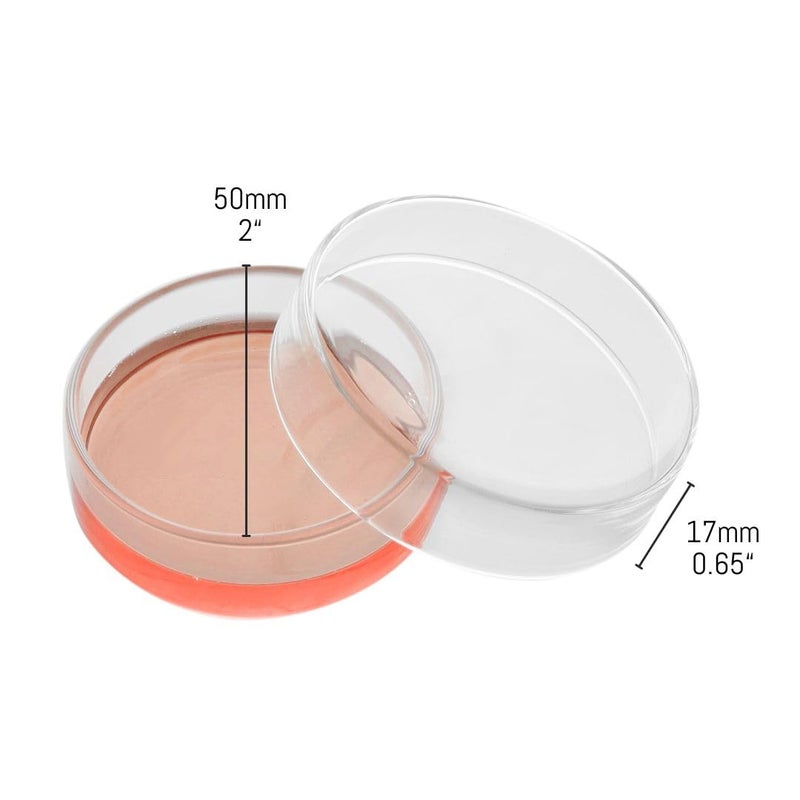 EISCO Petri Dish, 2" (50mm) - Beaded Edges Easy to Sterilize for Repeated Use Borosilicate Glass- Labs - Image 2