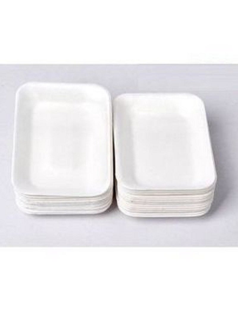Disposable Foam Dishes 50 PCS White