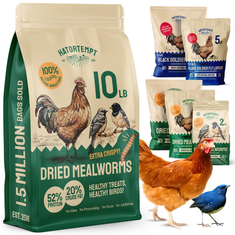 Hatortempt Bulk Dried Mealworms - 10 Lb Bag - Non-GMO Dried Mealworms for Chickens, Ducks & Wild Birds - High-Protein Chicken Feed & Bird Food - Image 1