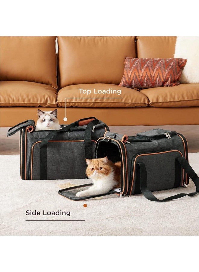 أزود حامل قطط للحيوانات الأليفة للكلاب الصغيرة، حامل كلاب، بيت قطط، حامل سفر للحيوانات الأليفة معتمد من شركات الطيران، حامل سفر ناعم الجوانب للحيوانات الأليفة للقطط والكلاب، حقيبة محمولة قابلة للطي للحيوانات الأليفة - Image 2