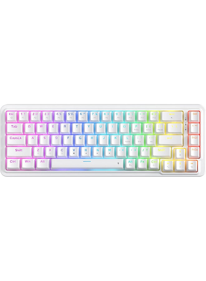 ريدراجون لوحة مفاتيح الألعاب K709 RGB سلكية بنسبة 65%، 68 مفتاحًا قابلاً للتبديل، لوحة مفاتيح ميكانيكية مدمجة مع مقبس مجاني، 3 طبقات لتقليل الضوضاء ومفاتيح سهم مخصصة، مفتاح خطي مخصص هادئ - أبيض - Image 1