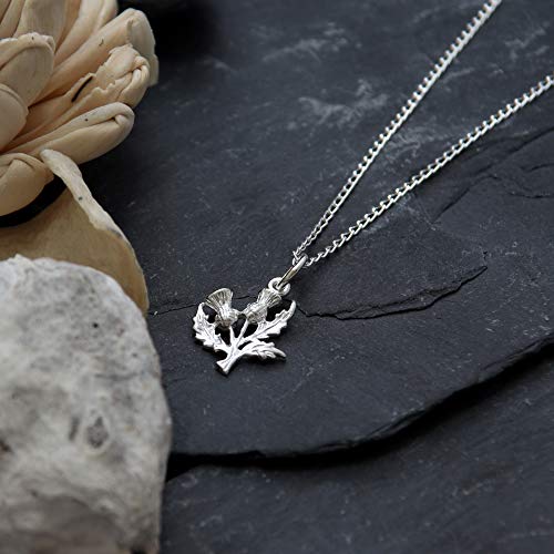 Alexander Castle 925 Sterling Silver Scottish Thistle Necklace - 15mm x 15mm Pendant with 18" Silver Chain & Jewelry Gift Box - Scottish Gifts for Women - Image 2