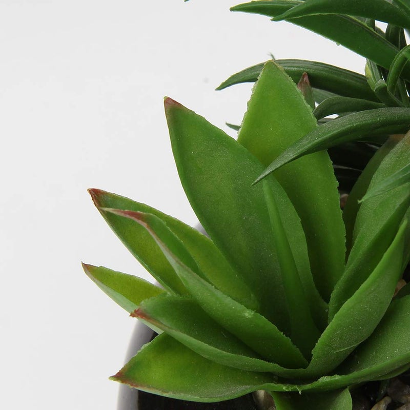 Hollyone Large Artificial Succulents Plants Faux Succulents in Pots Fake Succulent Potted Plants with Black Ceramic Pot for Home Decor Office Desk Bathroom Living Room Indoor & Outdoor Decorations - Image 3