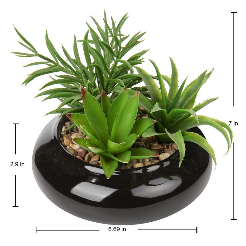 Hollyone Large Artificial Succulents Plants Faux Succulents in Pots Fake Succulent Potted Plants with Black Ceramic Pot for Home Decor Office Desk Bathroom Living Room Indoor & Outdoor Decorations - Image 2