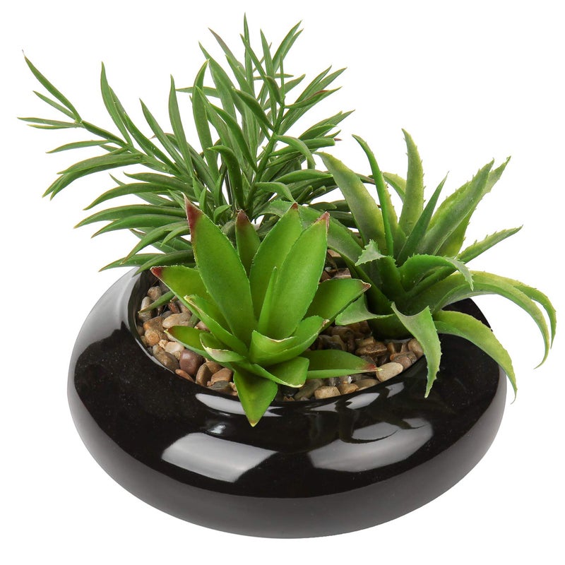 Hollyone Large Artificial Succulents Plants Faux Succulents in Pots Fake Succulent Potted Plants with Black Ceramic Pot for Home Decor Office Desk Bathroom Living Room Indoor & Outdoor Decorations - Image 1