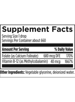 Designs for Health B12 + Folate Drops - Super Liquid Folate with Vitamin B12 as Methylcobalamin - 400mcg Folate + 40mcg Methyl B12 per Drop, Non-GMO + Vegetarian (660 Servings / 1 Fl Oz) - pzsku/ZBAC2EE46E0C8041728D0Z/45/_/1739882982/c1386095-b86f-47b0-af32-d0e11930d2fb