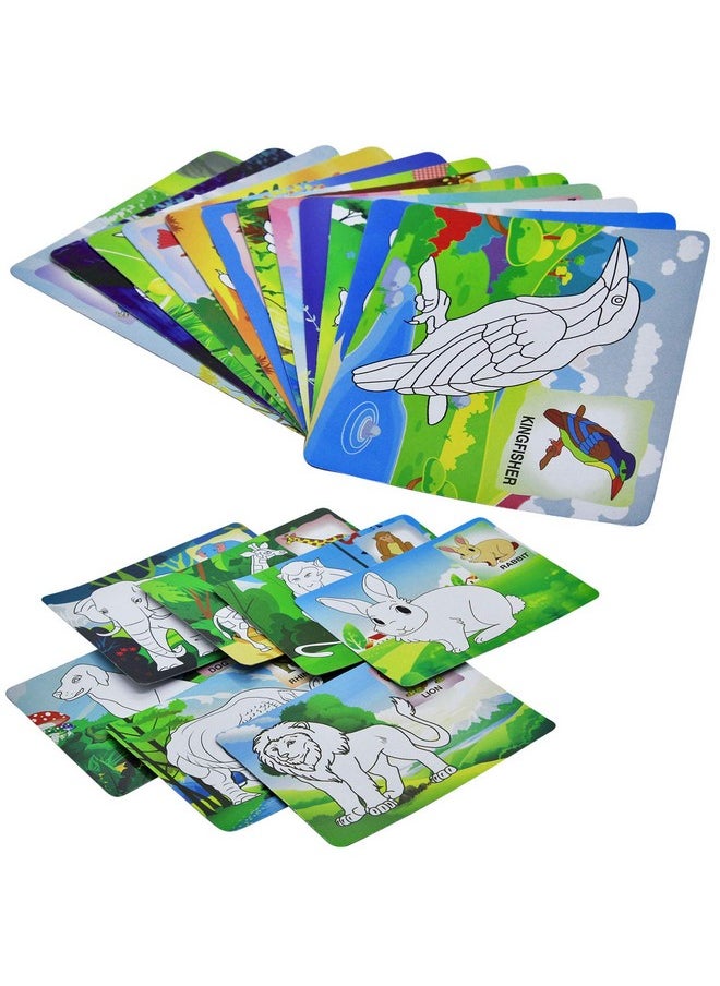Ekta - EKTA Colour N Wipe Preschool Learning Kid Fun Game Play N Learn,Multicolor - Image 1