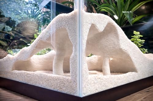 FROSTO Aquarium Terrarium Corner Underground Cave Faux Mangrove Root Hideout for Betta Corydoras Shrimp Geckos Snakes NaturalLook Tank Decor in Textured Root Style Bone 75x75x4 - Image 3