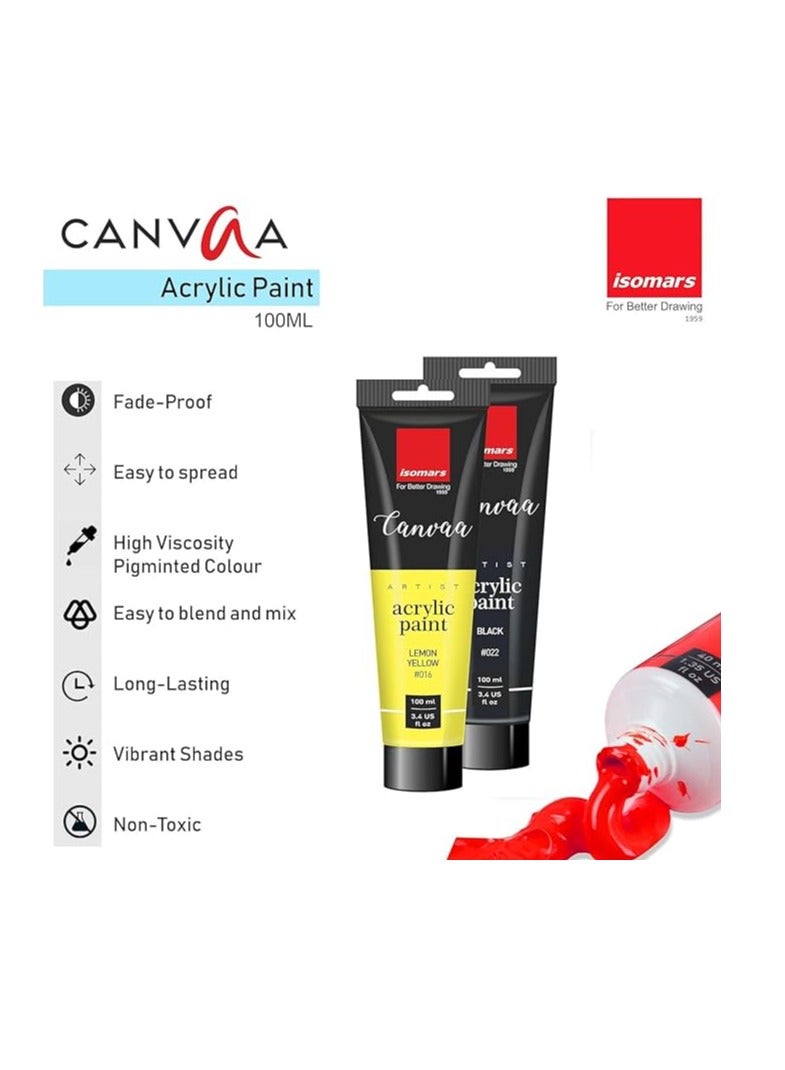Isomers Canvaa Acrylic Paint 100ml Vibrant Pigmented & Fadeproof Colors - ARTIST SERIES - For Canvas Painting, Scrap Book, Paper Board, Wood & Terracotta Lemon Yellow - Image 2