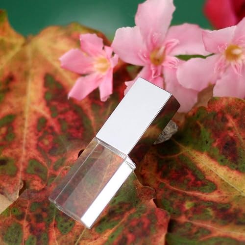HONGPAS New Crystal Transparent Rectangle Genuine USB Flash Drive 3.0 LED Lighting Memory Stick Birthday Wedding Gift Pen Drive,Silver (32GB)… - Image 5
