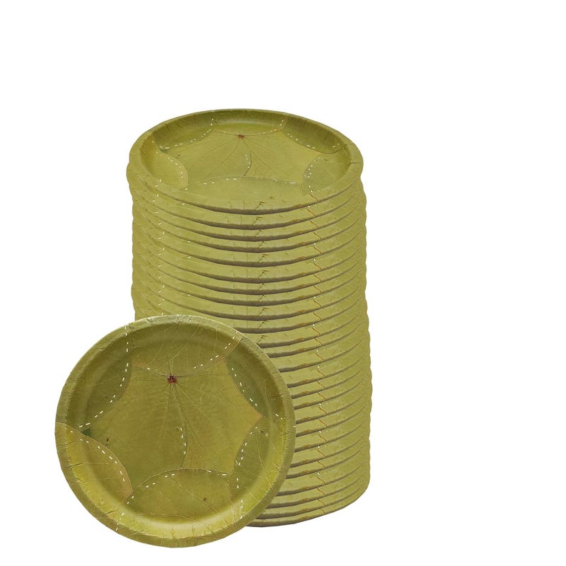 SAI PRASEEDA 100 Biodegradable_Eco Friendly_12 Inch One Side Leaf Dinner Plates_Pack of 100_Natural Leaf Plates_ SPOYP30 - Image 1