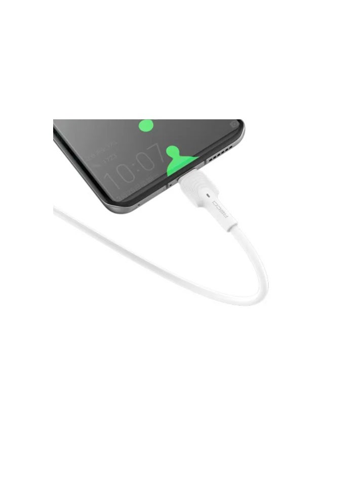 Recci - Recci Usb to Lightning 2.4A Fast Charging Cable RS10L - Image 1