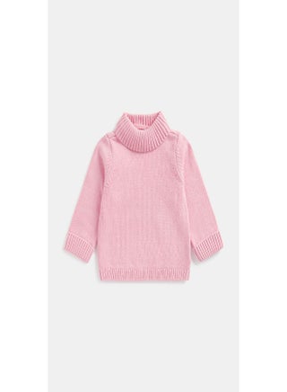 Pink Roll Neck Knitted Jumper - pzsku/ZBAC95E952308614DA57AZ/45/_/1710491702/eb2c9807-94db-49dd-b84e-22be8f9db02e