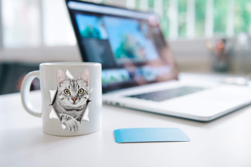 Winston Bear Winston & Bear Cute Grey Kitty Cat Mug - Funny Gray Tabby Ceramic Coffee Mug Gift for Dog Lovers Mom and Dad - Perfect Birthday or Christmas, Father's or Mother's Day Gift (11oz) - Image 4