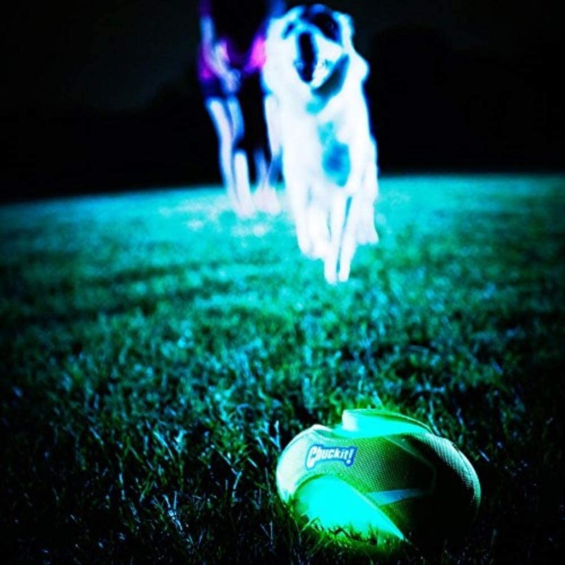Chuckit! Max Glow Fumble Fetch Dog Football Dog Toy - Image 5