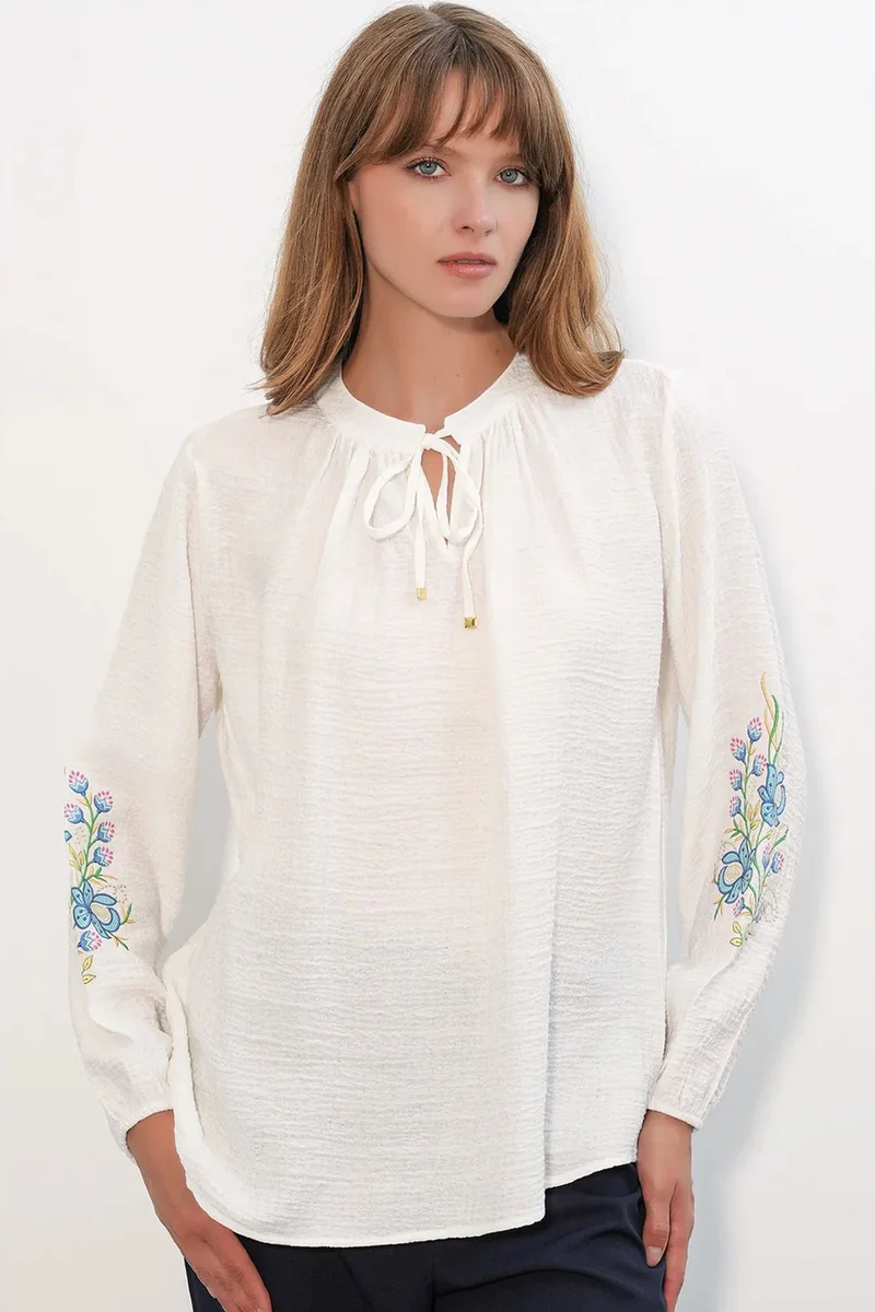 Big Dart BDART Embroidered Oversized Crepe Blouse