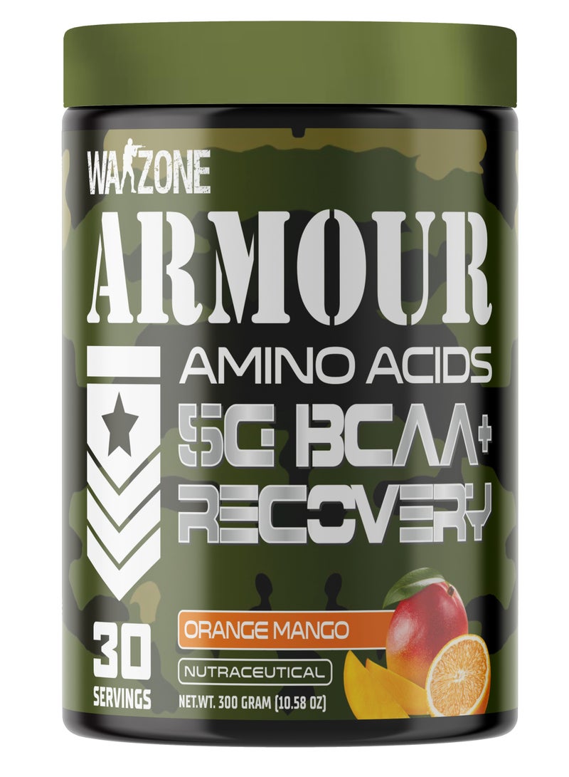 وارزون أحماض أمينية BCAA من Warzone Armour - Image 1