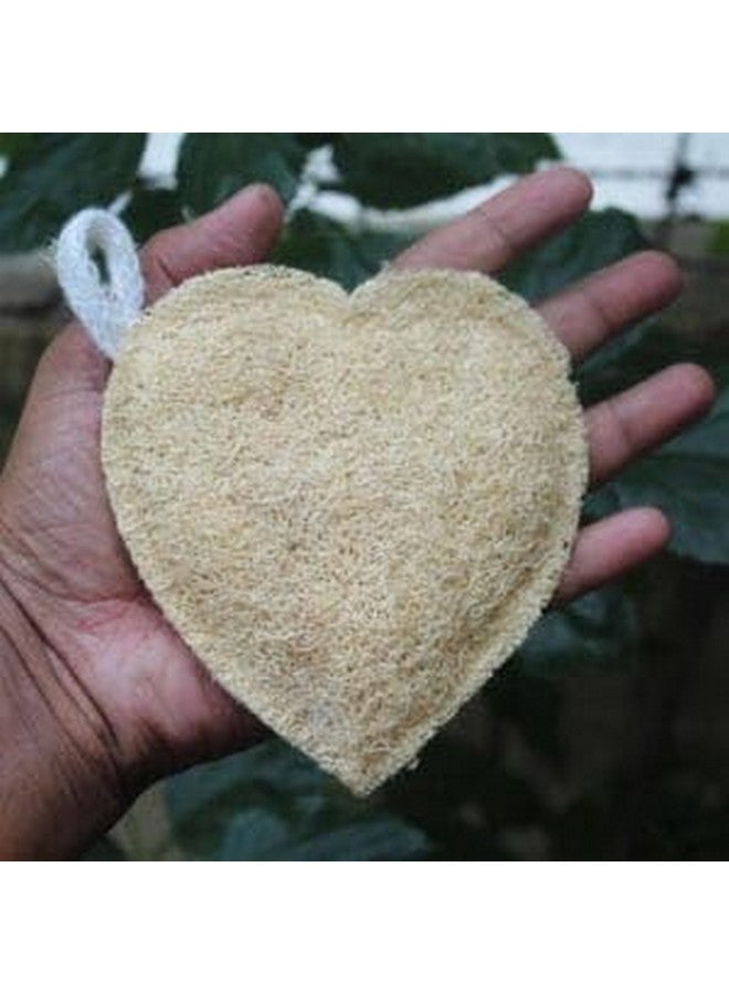 loofah Nature's Exfoliating Wonder Natural Skincare Body Scrubber Natural Cleaning Bath Accessories - Image 2