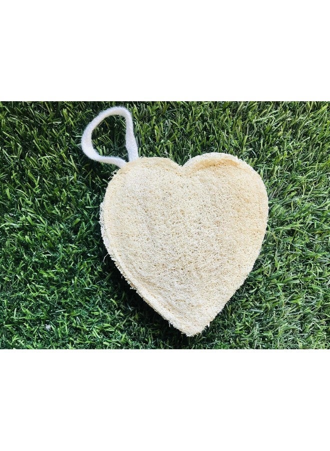 loofah Nature's Exfoliating Wonder Natural Skincare Body Scrubber Natural Cleaning Bath Accessories - Image 1