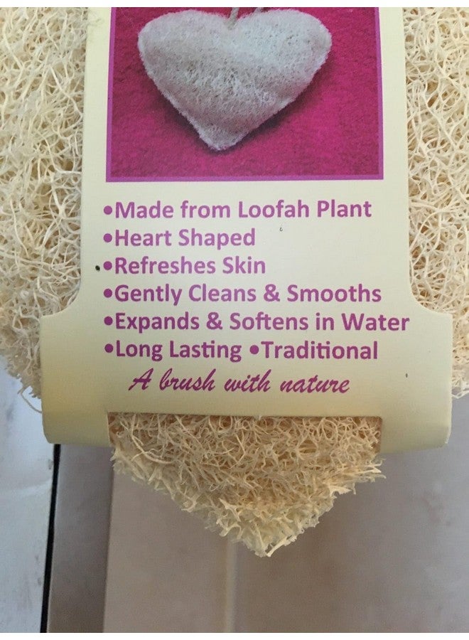 loofah Nature's Exfoliating Wonder Natural Skincare Body Scrubber Natural Cleaning Bath Accessories - Image 4