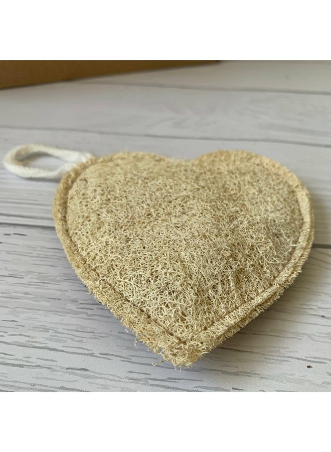 loofah Nature's Exfoliating Wonder Natural Skincare Body Scrubber Natural Cleaning Bath Accessories - Image 5