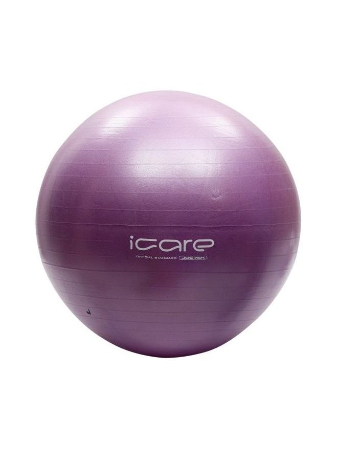 Gym Ball - pzsku/ZBACDF44154121AAB06A6Z/45/_/1735292943/a632dc0f-82ac-4abf-bf4f-de7b713e4fe3