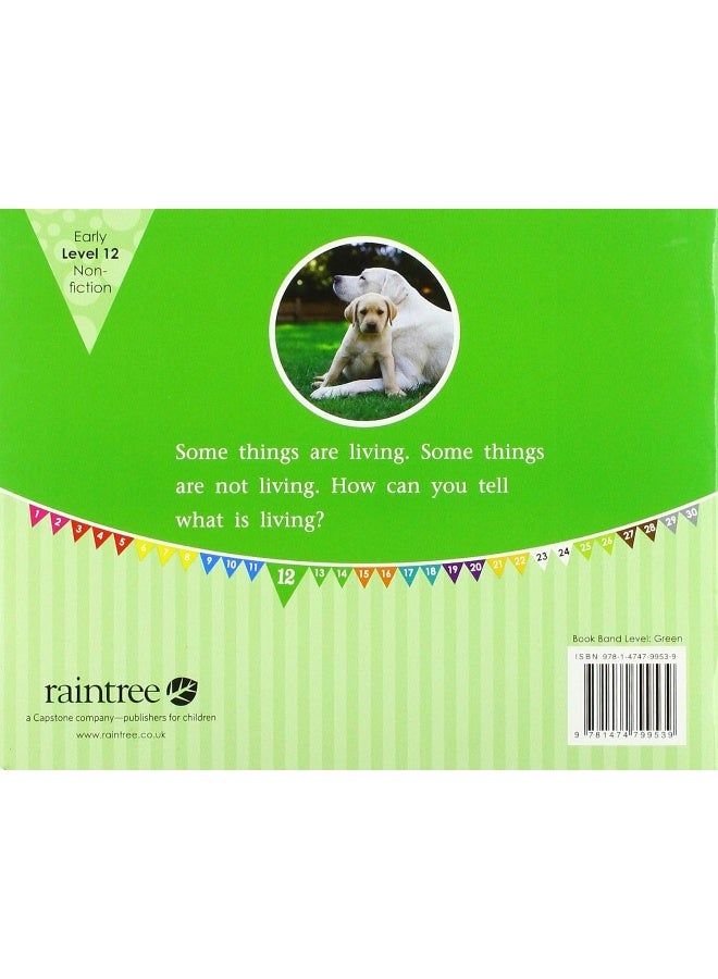 Living and Non-Living - Image 2