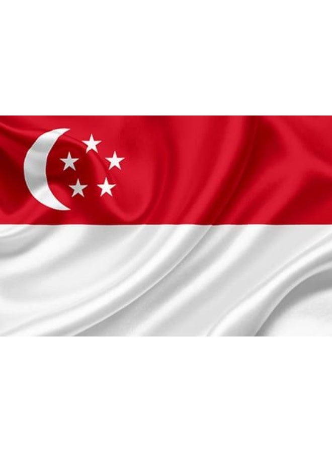 ARS Singapore  Flag - Heavy-Duty 210D Satin, Singapore Flag for Outdoor/Indoor, Fade Resistant, Flag Day, And Home-Polyester, Sport Day, FIFA World Cup-Size Available - Image 3