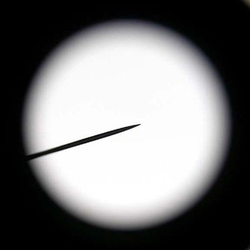 AmScope AmScope EP10X23P WF10X Microscope Eyepiece with Pointer 23mm  - Image 2