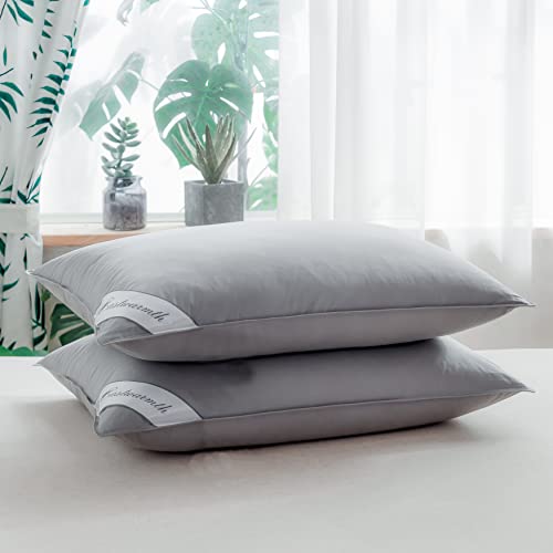 Eastwarmth Queen Size Goose Down Feather Pair Pillows Grey Color Bedding Hotel Pillows 100% Cotton Cover Set of Two 20x30inch - Image 1