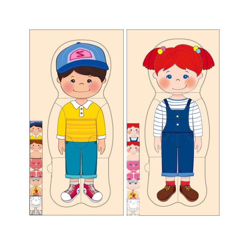 Wooden Human Body Structure Skeleton Men And Women Grow Hungry Caterpillar Multi-Layer Puzzle Early Education Toys - Image 3