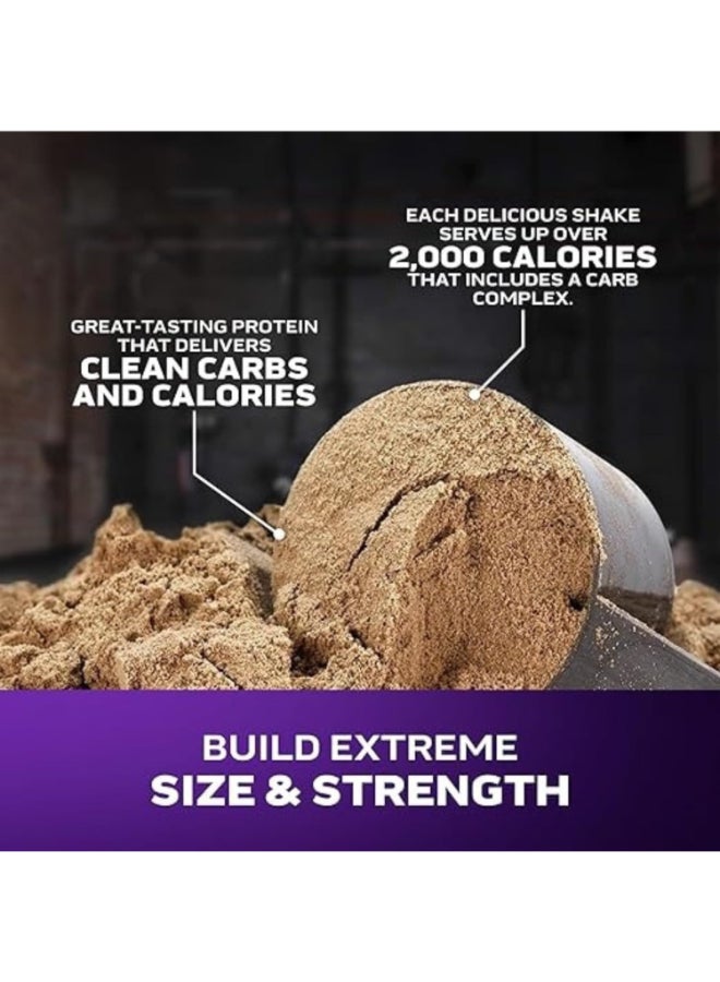 ماسل تيك MuscleTech Mass Tech Extreme 2000 Vanilla Milkshake 12lbs US (RB) - Image 4