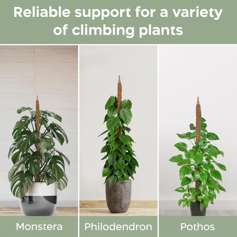 K-Brands 2 Pack 28'' Bendable Moss Pole Monstera Plant Support for Climbing Indoor Plants - Stakes for Potted Climbers - Tall Sticks Indoor Trellis for Houseplants - Accessories for Monstera Pot - Image 4