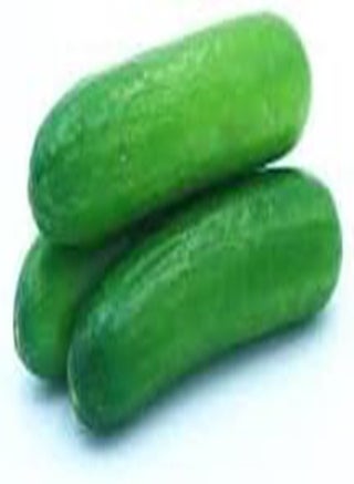 30 Seeds Cucumber Seeds  Seeds Vegetable Seeds, 100% Organic Non-GMO - pzsku/ZBAD80399B6C0F9F1A42BZ/45/_/1740460739/92234624-6e00-480a-b6d1-2b74effc4e8a