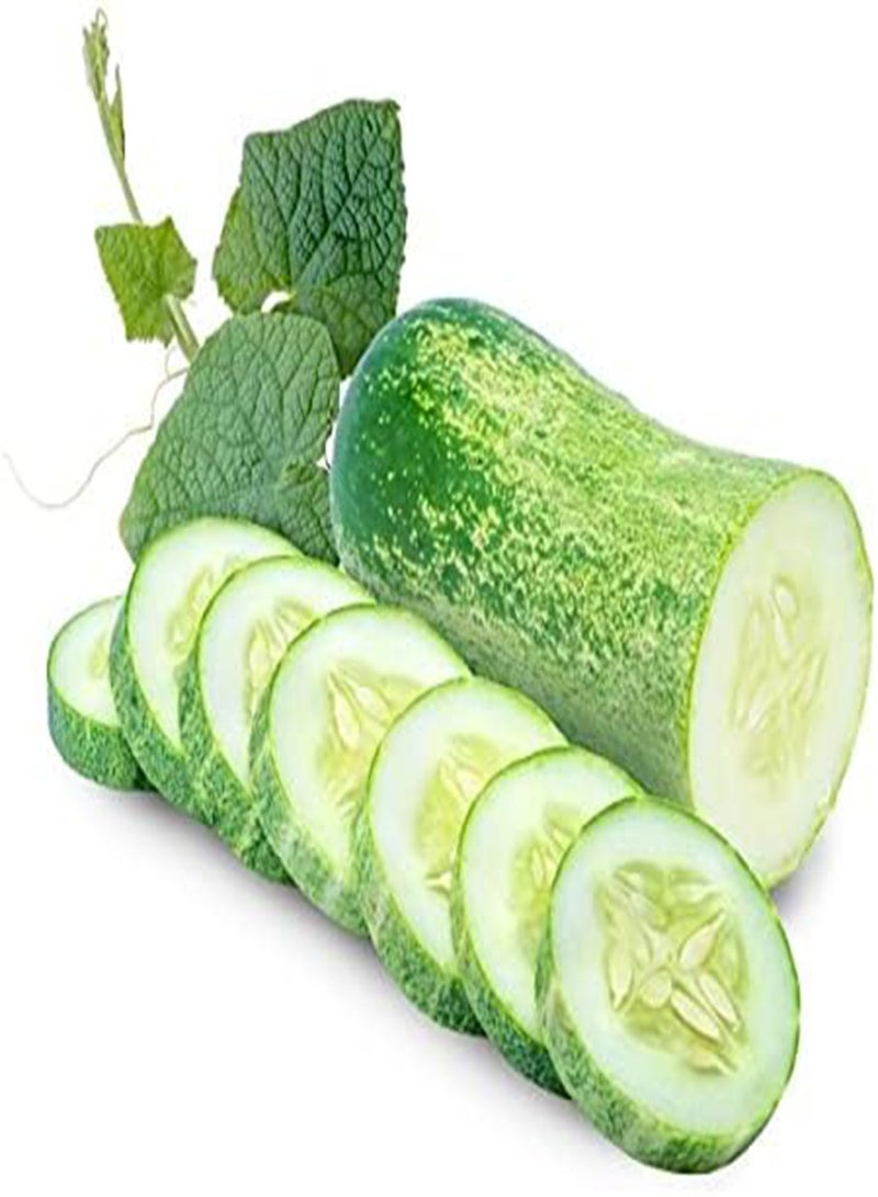 30 Seeds Cucumber Seeds  Seeds Vegetable Seeds, 100% Organic Non-GMO