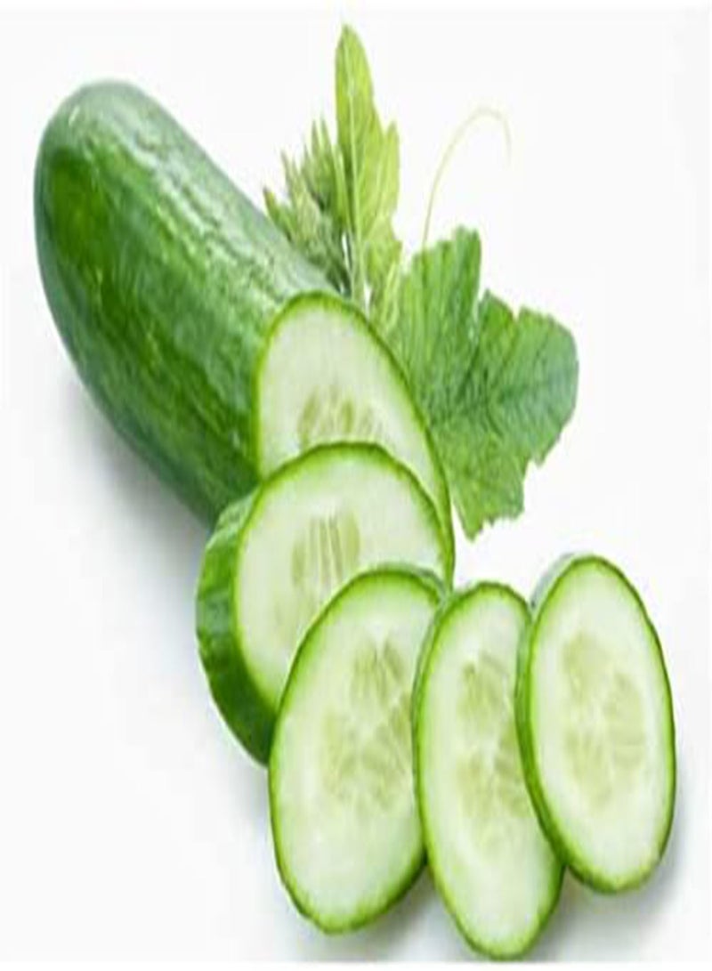 30 Seeds Cucumber Seeds  Seeds Vegetable Seeds, 100% Organic Non-GMO