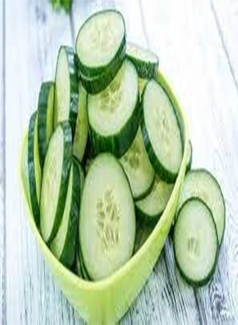 30 Seeds Cucumber Seeds  Seeds Vegetable Seeds, 100% Organic Non-GMO