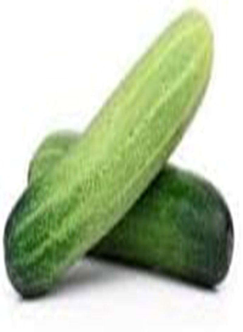 30 Seeds Cucumber Seeds  Seeds Vegetable Seeds, 100% Organic Non-GMO