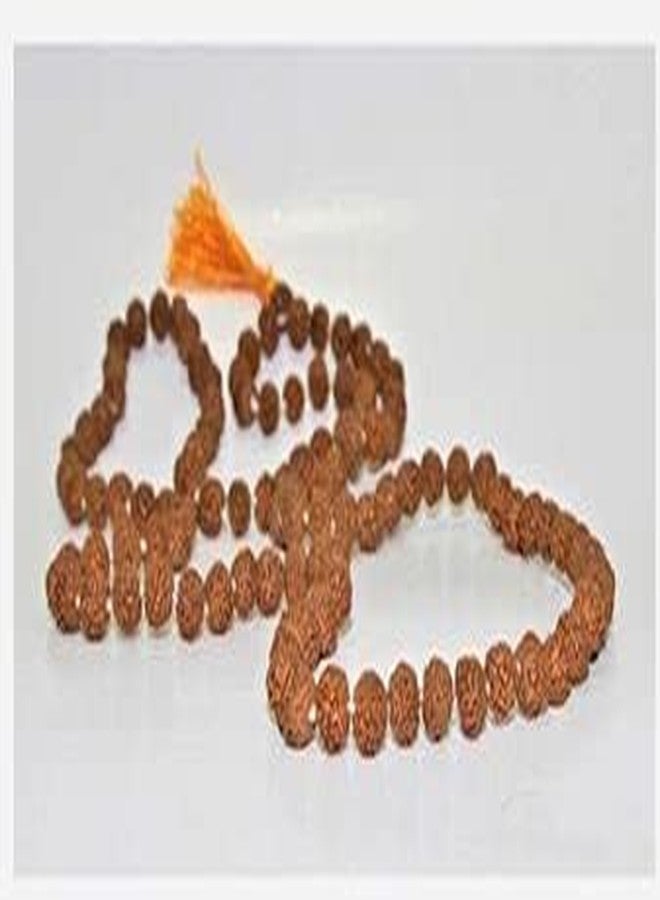 Certified Gems Brown Rudraksha Stone Mala Rosary 108 + 1 Bead Certifed 5mm to 8mm - Image 2