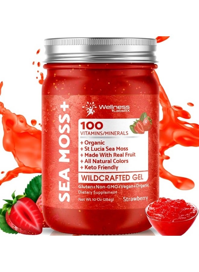 WELLNESS LABSRX Irish Sea Moss Gel Organic Raw - Wildcrafted Superfood Seamoss Gel - Strawberry Flavor, Vitamin and Mineral-Rich from Pristine Caribbean Waters, Immune and Digestive Health Support - 10 oz. - Image 1