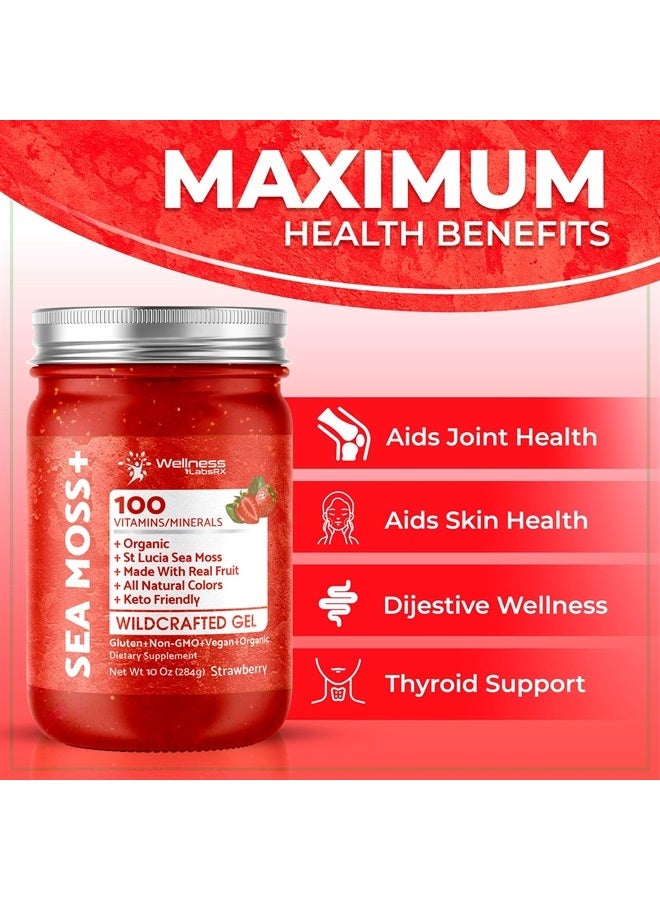 WELLNESS LABSRX Irish Sea Moss Gel Organic Raw - Wildcrafted Superfood Seamoss Gel - Strawberry Flavor, Vitamin and Mineral-Rich from Pristine Caribbean Waters, Immune and Digestive Health Support - 10 oz. - Image 3